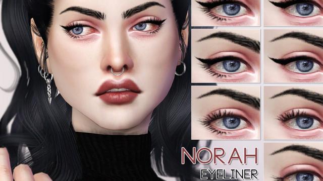 Norah Eyeliner +Lashes N81