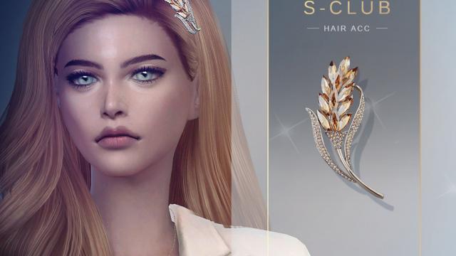 S-Club LL ts4 Hair ACC 202019