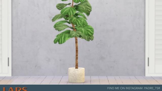 Lars Living Room - Indoor Ficus Lyrata - Fig Plant для The Sims 4