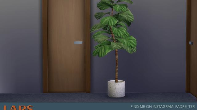 Lars Living Room - Indoor Ficus Lyrata - Fig Plant for The Sims 4