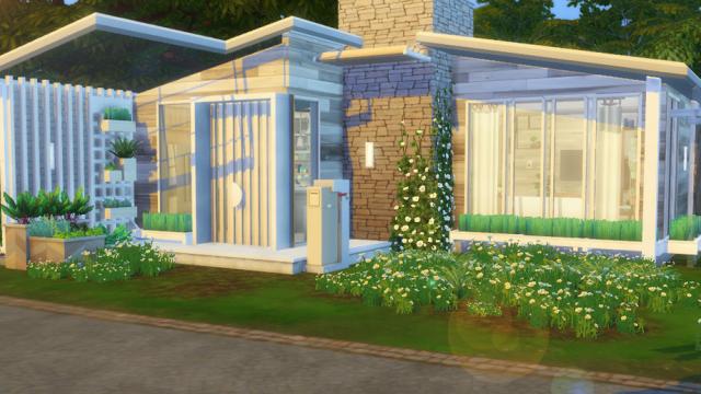 Mack - small home - no cc