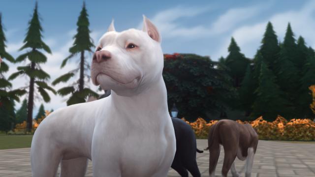 Собаки перестанут скулить / No more Whining [Dog Walks] для The Sims 4