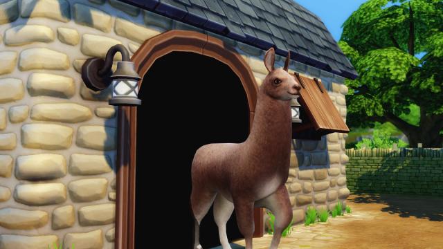 Cottage Living - Purchase More Llamas for The Sims 4