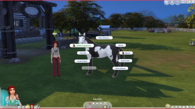 Better Saddle Control for The Sims 4