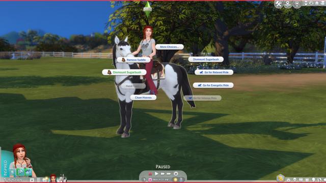 Better Saddle Control for The Sims 4