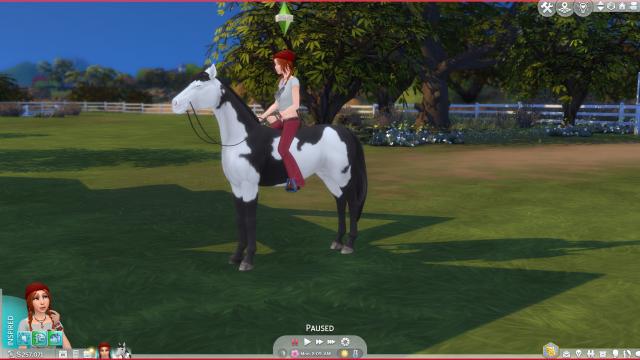 Better Saddle Control for The Sims 4