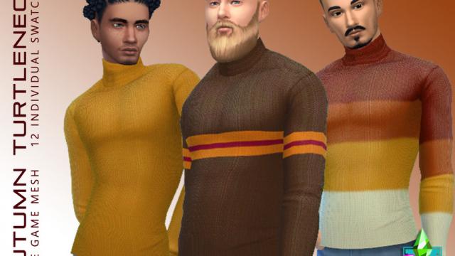 SimmieV Autumn Turtleneck