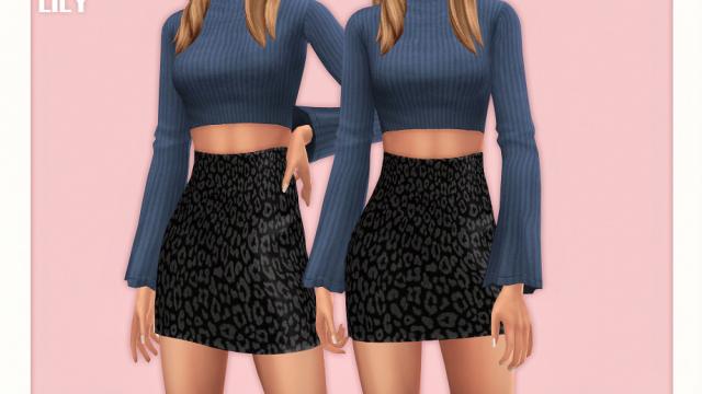 Two-Piece Leo Dress 02