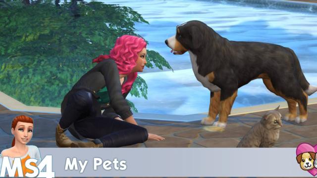 My Pets