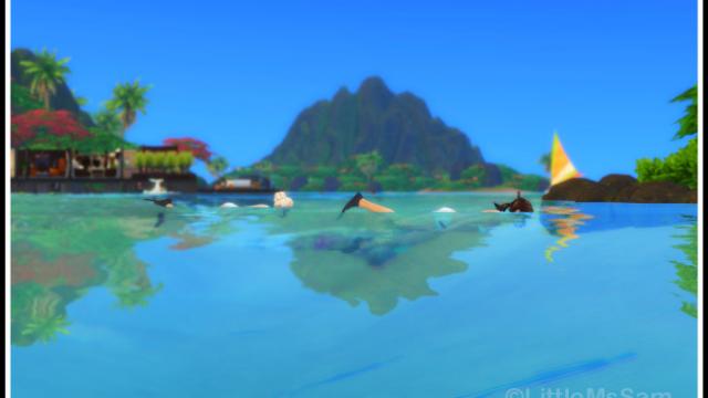 Snorkel Everywhere (Island Living)