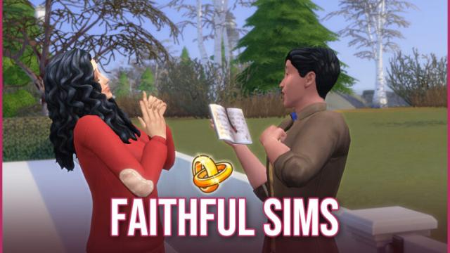 Faithful Sims