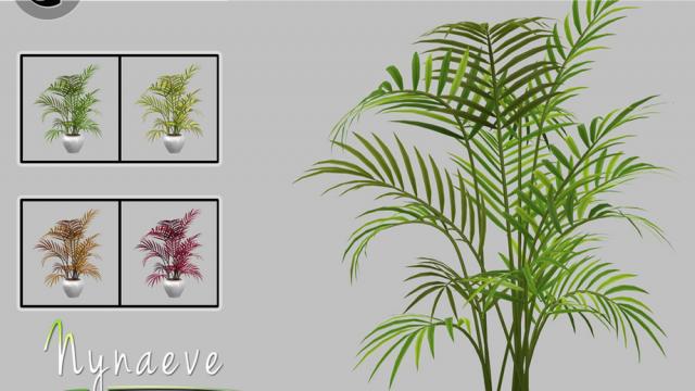 Areca Palm for The Sims 4