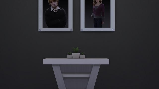 Harry Potter Characters Painting for The Sims 4