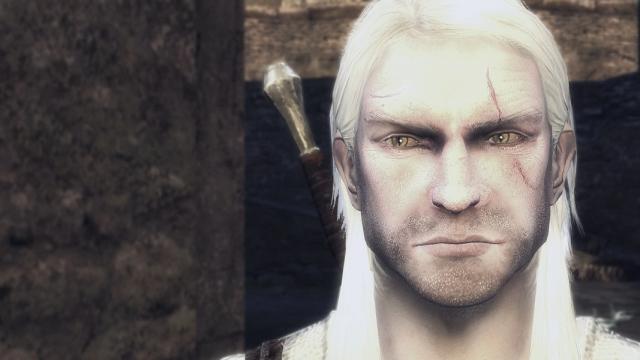 HD   Witcher 1 HD Faces for The Witcher