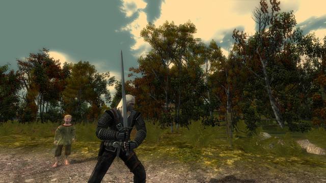 Глобальная переработка мечей / Complete Sword Overhaul для The Witcher