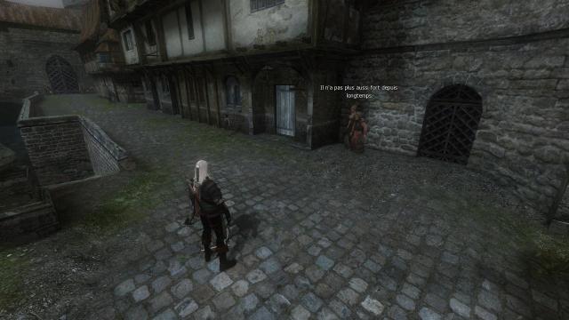 The Witcher Overhaul Project for The Witcher