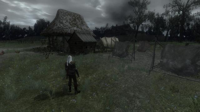 The Witcher Overhaul Project for The Witcher