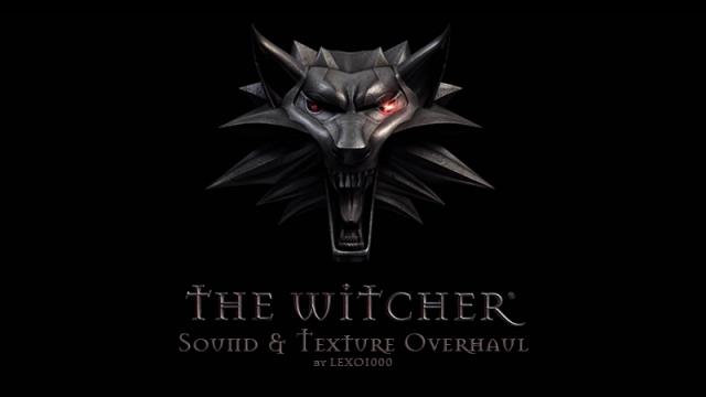 The Witcher Overhaul Project