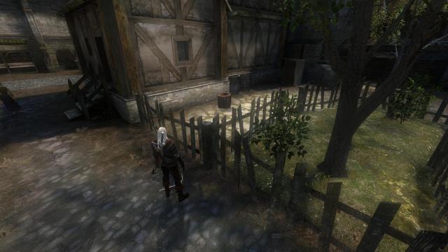 The Witcher Overhaul Project для The Witcher