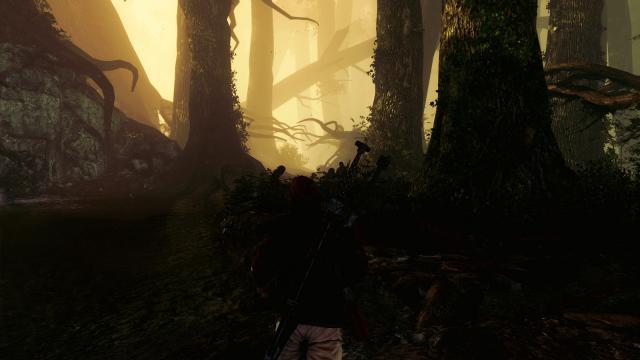 EnVision ENB for The Witcher 2