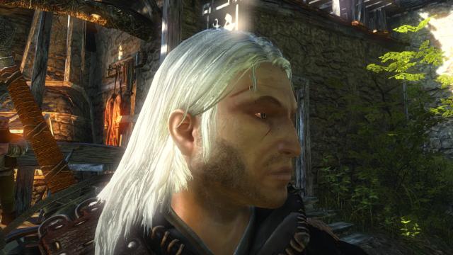 Witcher 1 Geralt face for witcher 2 for The Witcher 2
