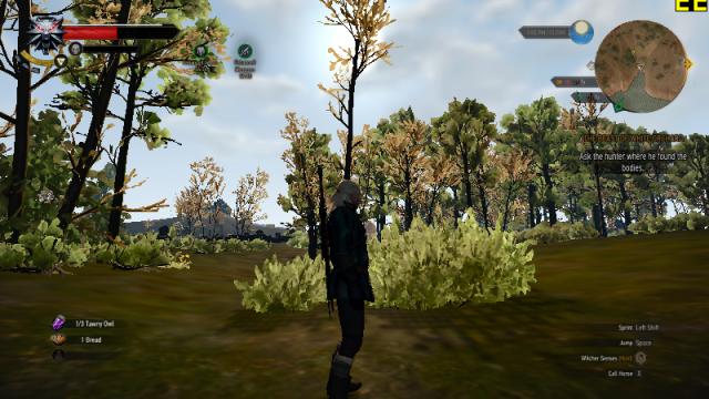 The Witcher 3  Witcher 3 Ultra Low for The Witcher 3