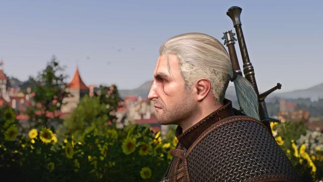 Bubsy's Head Edit for The Witcher 3