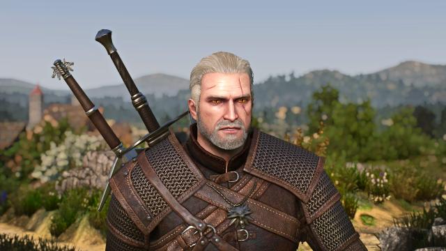 Bubsy's Head Edit for The Witcher 3