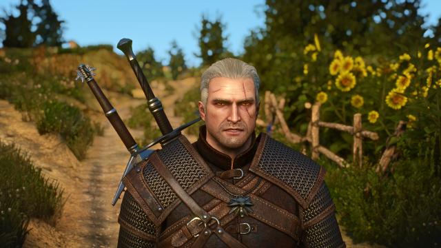 Bubsy's Head Edit for The Witcher 3