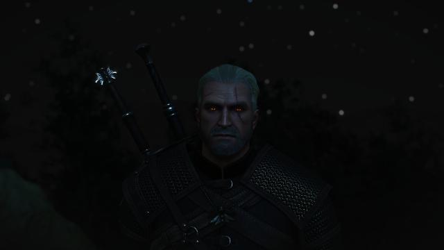 Bubsy's Head Edit for The Witcher 3