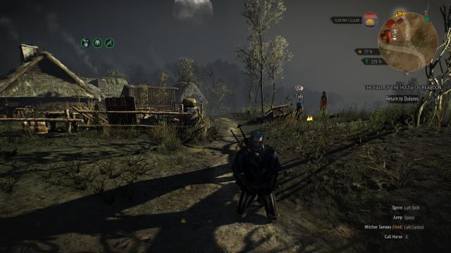 Keep Buffs Through Meditation - for The Witcher 3