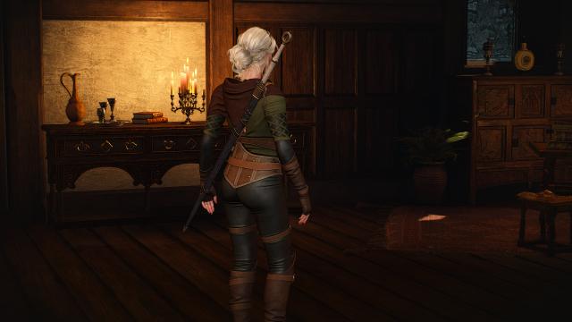 -    Ciri - Alternative look for The Witcher 3