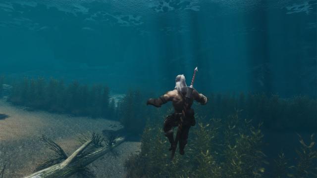 Don't Eat Underwater for The Witcher 3