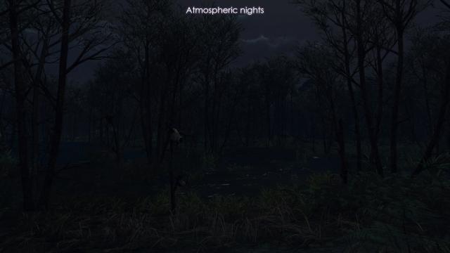 Атмосферные ночи / Atmospheric Nights для The Witcher 3