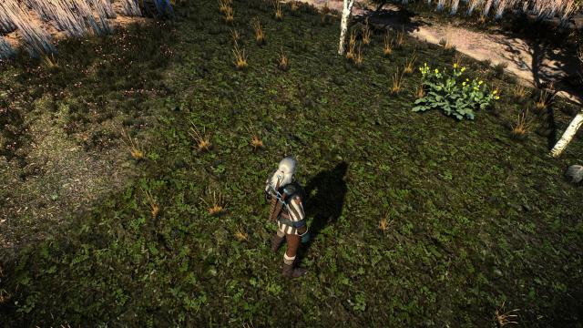 Witcher 3 Texture Overhaul - White Orchard for The Witcher 3
