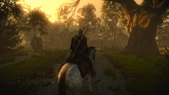 WITCHER 2 OVERHAUL для The Witcher 3