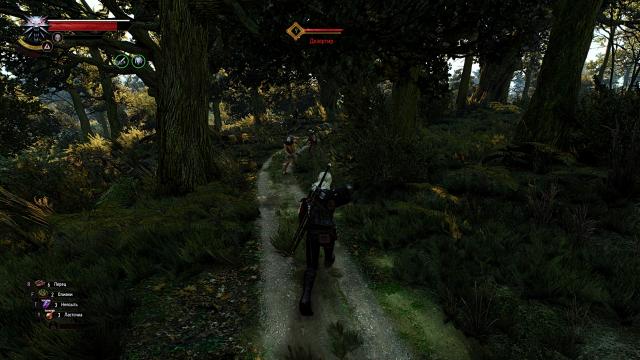 Enemy Healthbar On Top for The Witcher 3