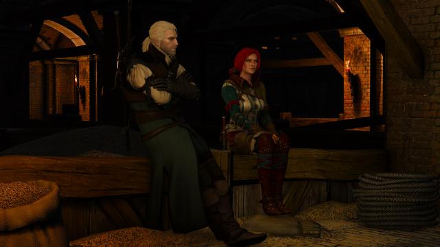 Witcher 2  TW2 Triss for The Witcher 3