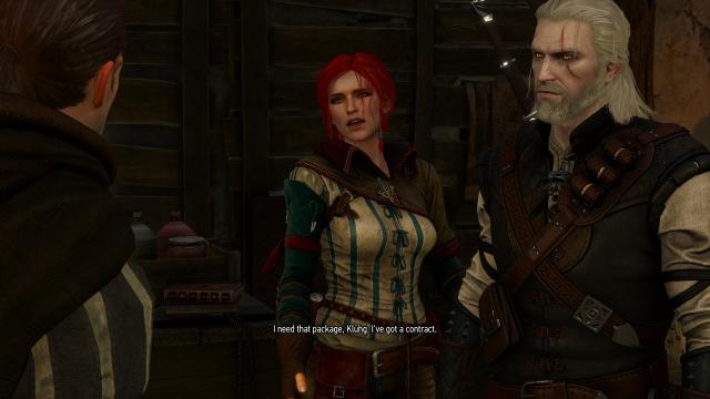 Witcher 2  TW2 Triss for The Witcher 3