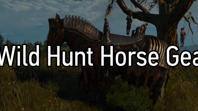 Снаряжение Дикой Охоты для Плотвы / Wild Hunt Horse Gear