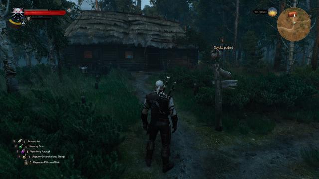 Fast Travel Points Pack for The Witcher 3