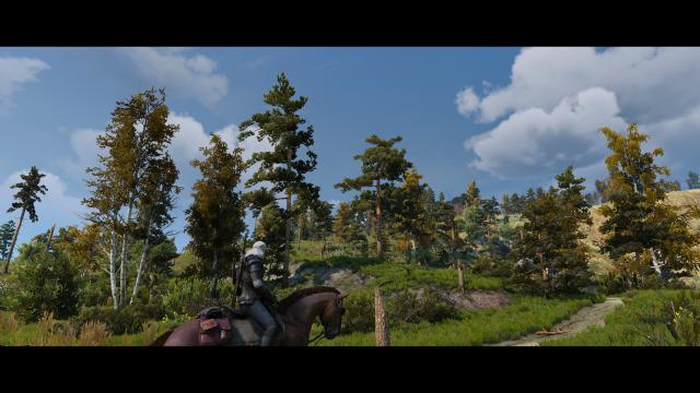 Rustic Pines for The Witcher 3