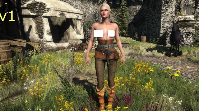 Цири и Йен топлес / Ciri Topless для The Witcher 3