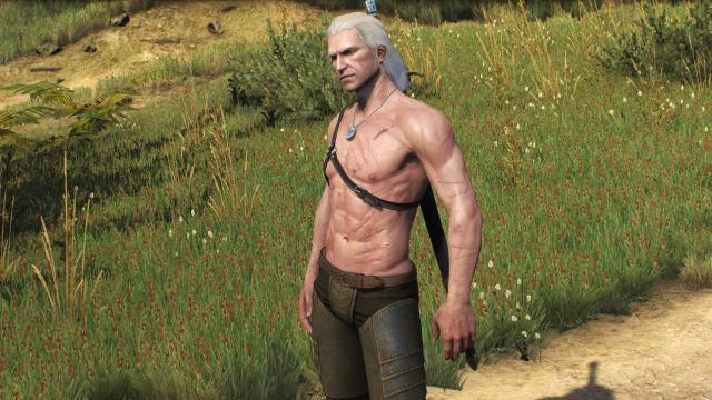 ,     Skinnier Geralt's torso for The Witcher 3