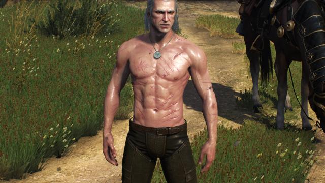 ,     Skinnier Geralt's torso for The Witcher 3