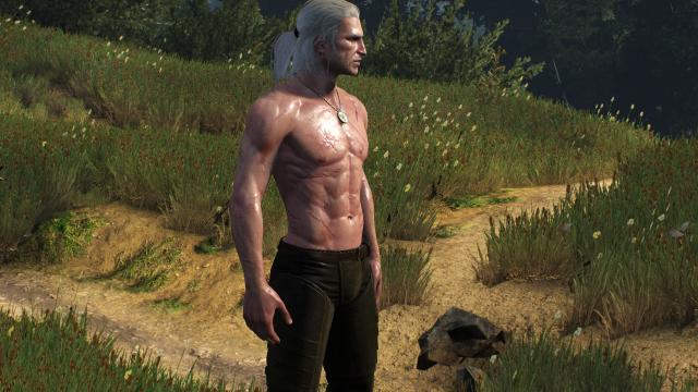 ,     Skinnier Geralt's torso for The Witcher 3