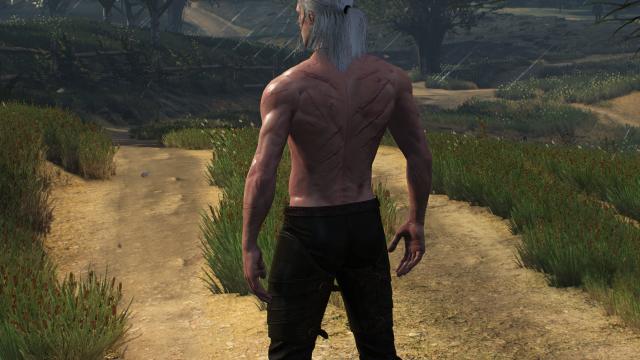 ,     Skinnier Geralt's torso for The Witcher 3