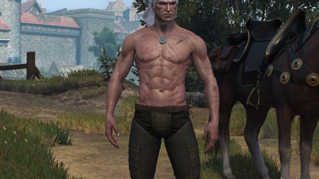 ,     Skinnier Geralt's torso for The Witcher 3