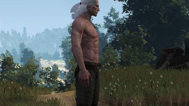 ,     Skinnier Geralt's torso for The Witcher 3