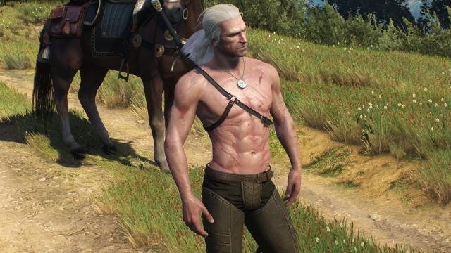 ,     Skinnier Geralt's torso for The Witcher 3